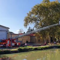 La grande échelle est de sortie